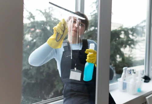 Nettoyage de vitres intérieures et extérieures à Encausse